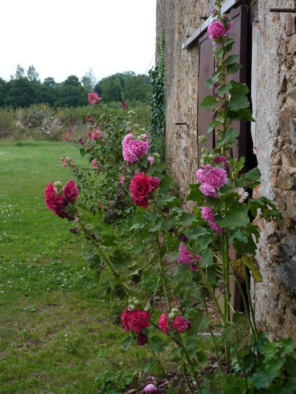 Chambres D'Hotes Le Chateau Rouge Saint-Germain-sur-Moine Екстер'єр фото